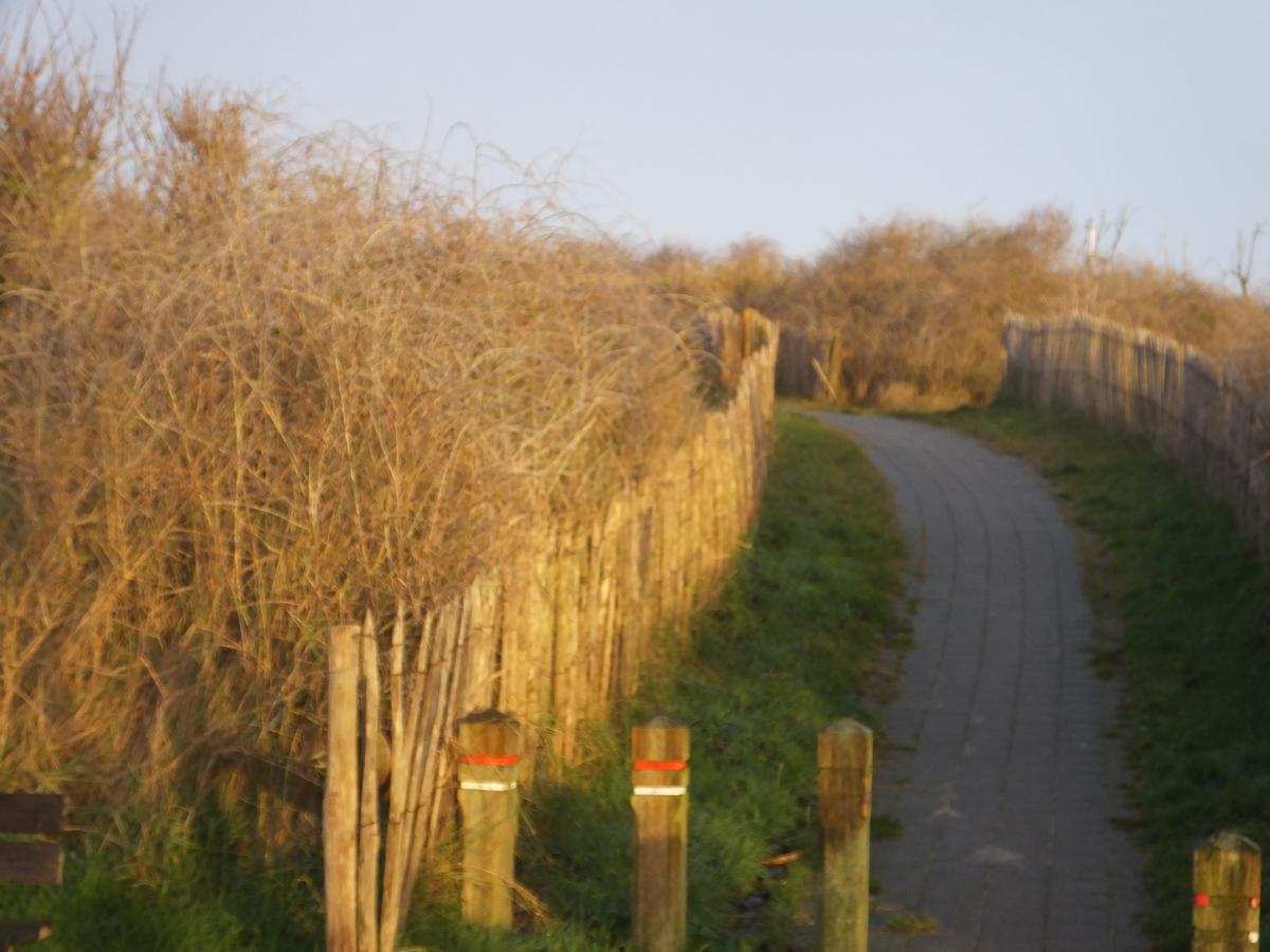 Sable D'O -Vlak Aan De Zee- Mariakerke (Belgium Coast) Exterior foto