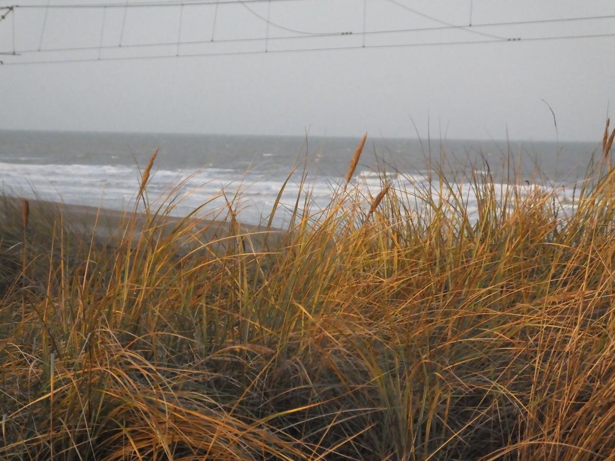 Sable D'O -Vlak Aan De Zee- Mariakerke (Belgium Coast) Exterior foto